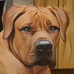 Елена Зима, 13.06, Санкт-Петербург