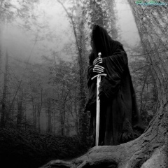 Дмитрий Чеботарь, Выборг