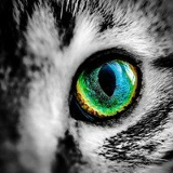 Алина Замоева, 02.04.1995, Екатеринбург