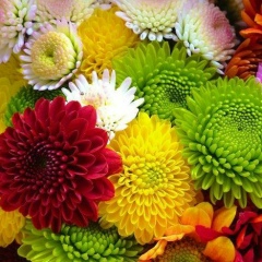 Айгуль Хурамшина, 27.06