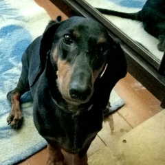 Александр Тюбаров, 25.03, Электросталь