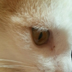 Гаухар Далдирбаева, 25.06.1980, Атырау