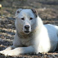 Наталія Володимир-Саловські, 28.05.1988, Тернополь