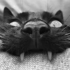 Екатерина Дождь, 11.06.1990, Москва