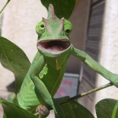 Дима Шевырёв, 02.03.1990, Донецк