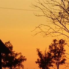 Инга Семенова, 20.10