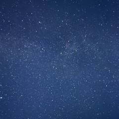 Регина Степанова, 04.08