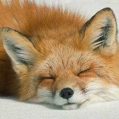 Юлия Суркова, 10.06.1986, Москва