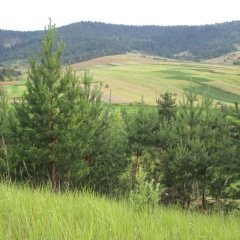 Надя Нестер, 04.09.2001, Старый Самбор