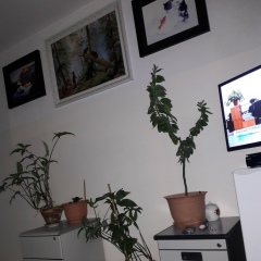 Владислав Семенов, 02.03.1978