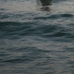 Виталий Селянский, 23.04