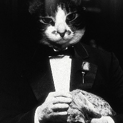 Владимир Гурьянов, Херсон