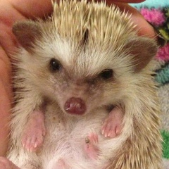 Тамара Есеева, 19.10, Актау