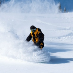 Тимофей Верховод, 26.07.1989, Новосибирск