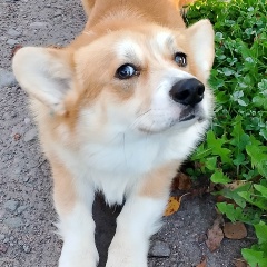 Наталья Савельева, 23.06.1974, Санкт-Петербург