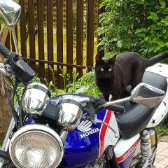 Тахир Хафизов, 07.12.1984, Королёв