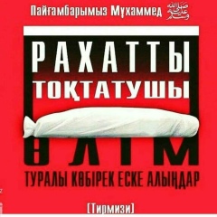 Асхат Берикжан, 26.04.1983, Алматы