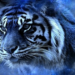 Алексей Линенко, 03.10.1991, Артем