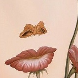 Наталья , 15.04, Челябинск