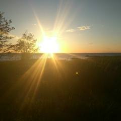 Денис Мустафаев, 21.10.1979, Санкт-Петербург