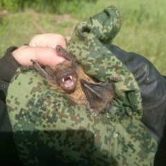 Иван Дураков, 10.10