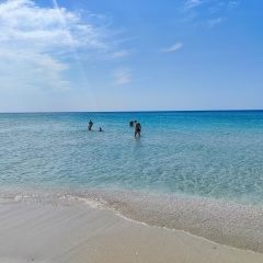 Юля Чайка, 17.11