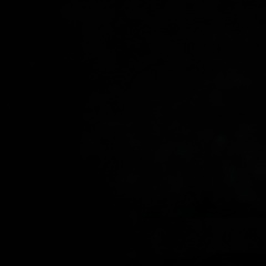 Всегда Буду, Санкт-Петербург