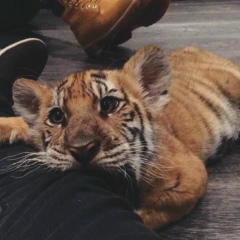 Bogdan N, 20.02, Бишкек