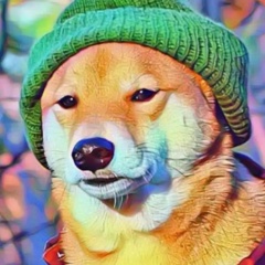 Александр Николаев, Санкт-Петербург