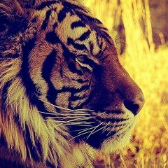 Шерзод Маткаримов, 27.06.1994, Москва