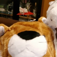 Валерия Уринцова, 06.05.1988, Тель-Авив