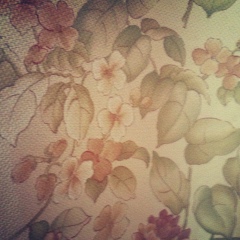 Almash Djailybaeva, 20.07.1984, Тараз