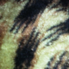 Бахадур Сафаров