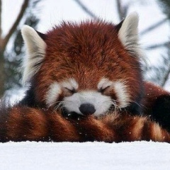 Tania Bu, 27.04, Санкт-Петербург