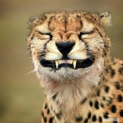 Айдын Ыскаков, 25.08.1992, Жезказган