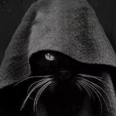 Роман Колодяжный, Киев