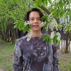 Вечер Ноября, Москва