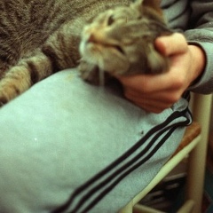 Александр Кид, 17.10.1985, Москва