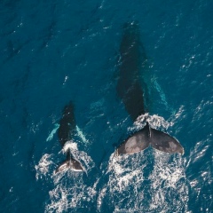 Мадина Жангоразова, 23.09.1989, Нальчик