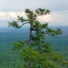 Дарья Мануйлова, Челябинск