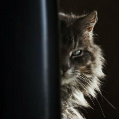 Сергей Батуев