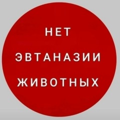 Дарья Демьянова, Москва