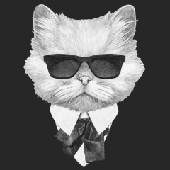 Azza Brazza, 12.05, Москва