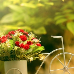 Леся Васильева, 15.09, Тюмень