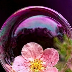 Лариса Матниязова