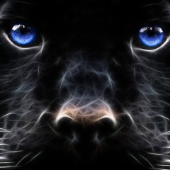 Руслан Кужахметов, 27.03, Житикара