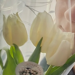 Ленчик Дубкина, 18.07, Белгород