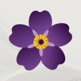 Ani Stepanyan, Москва