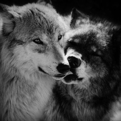 Akraman Ahmadov, 02.04, Грозный