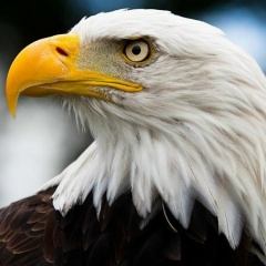 Madina Islamova, 10.04.1987, Алматы